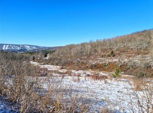 6801 Horn Hill Rd Lot 2, Ellicottville, NY 14731