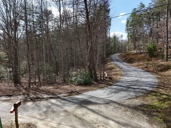 Ll321 Turkey Trot, Blairsville, GA 30512