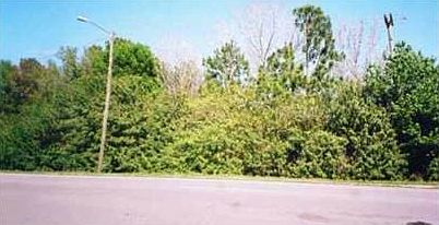 2nd image of 5927 Lynn Rd