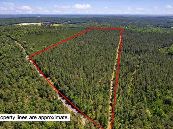 TBD Toms Creek Rd, Hopkins, SC 28061