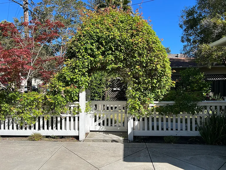 315 Sequoia Ave — Photo 5