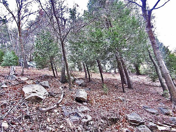 3rd image of Alder Creek Rd