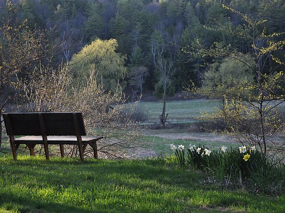 view from front yard