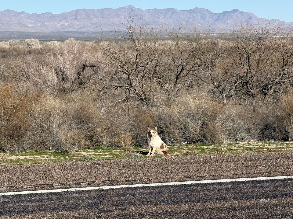 1st image of W Highway 70 #1A
