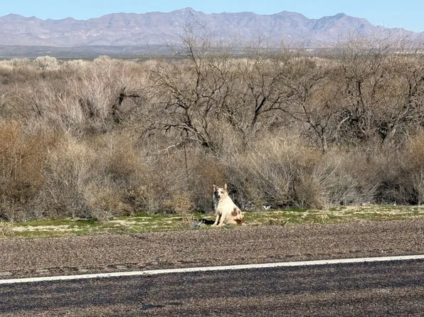 W Highway 70 #1A, Pima, AZ 85543