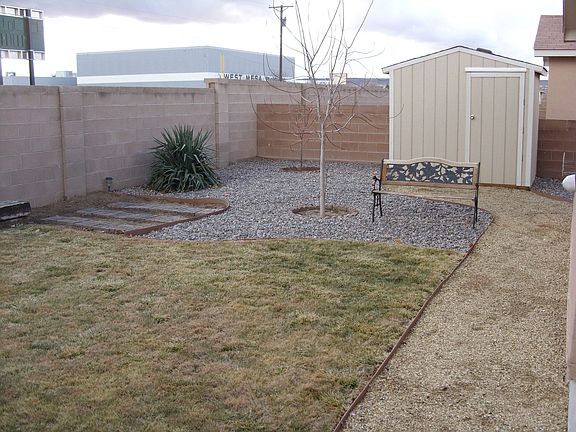 Back yard