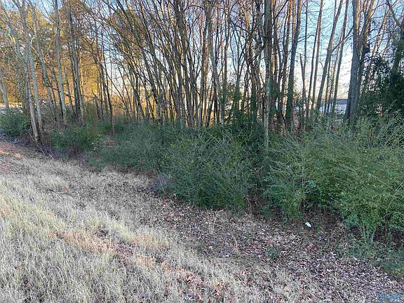 3rd image of 1 Acre Hwy #227