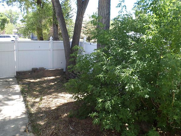 Front Side Yard