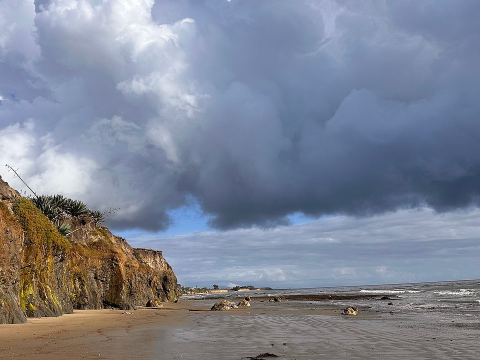 The beach below 6565 Del Playa: the iconic Isla Vista Beach with swimmers, surfers, seals and dolphins.