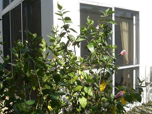 5th image of 145 Avenida Messina APT 2