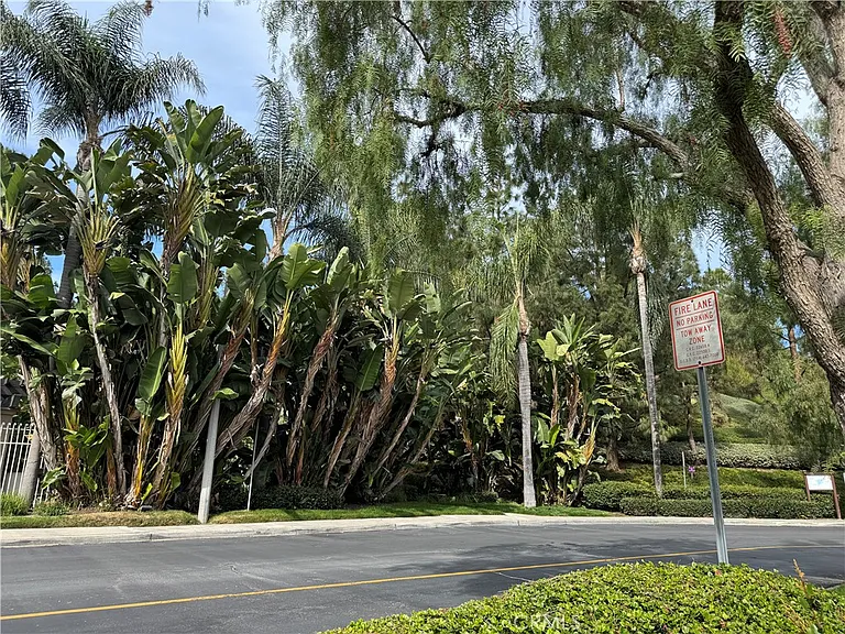 16 Bryce Cyn — Photo 2