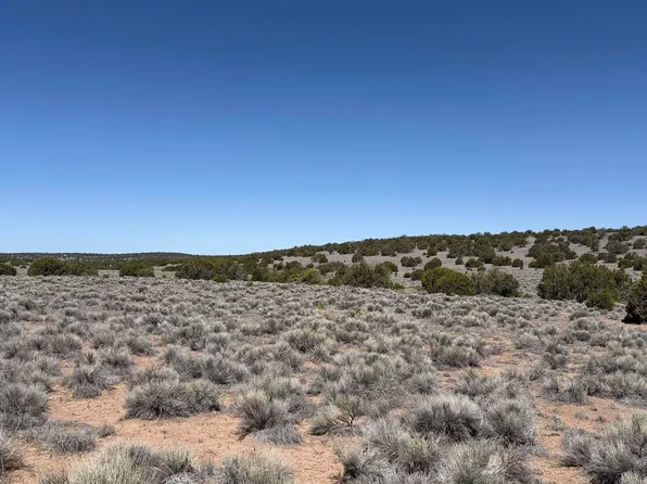 Horseshoe Trl, Quemado, NM 87829