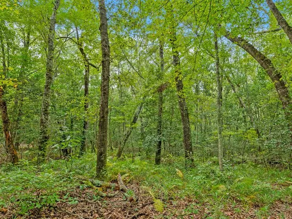 0 State Highway 352, Buena Vista, GA 31803