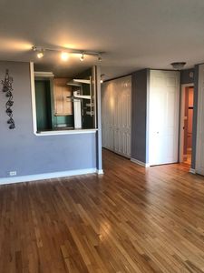1355 N Sandburg Ter APT 907, Chicago, IL, 60610