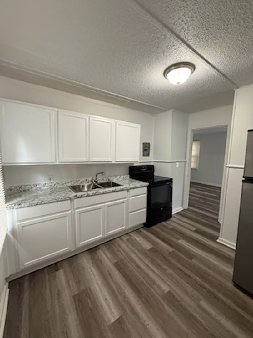 New renovation 2BR/1BA — Photo 3