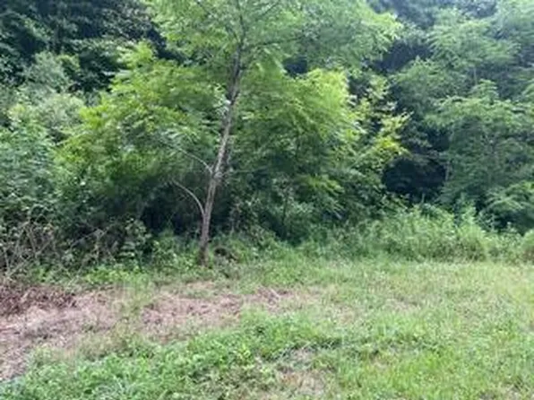 167 Charlie Harrell Ln, Hampton, TN 37658