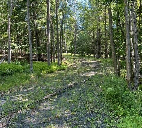 5th image of 98 Norwegian Road