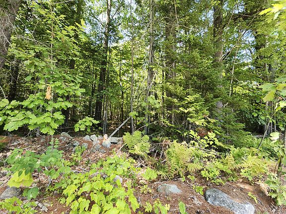 3rd image of TBD Bridgton Road