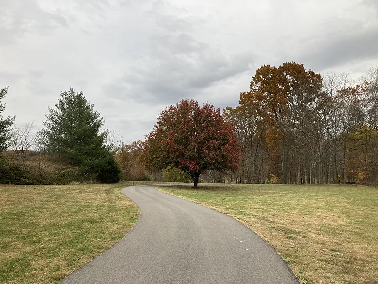 507 Stinson Ct — Photo 65
