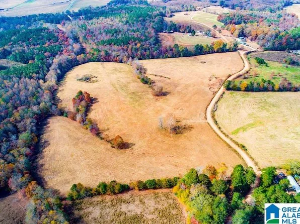 0 County Road 110 #0, Graham, AL 36263