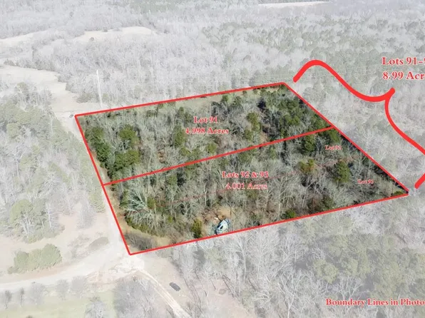 Lots 92 93 Francis Ln, Diana, TX 75640