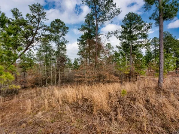19 Lookout Ln Lot 11, Kirby, AR 71950