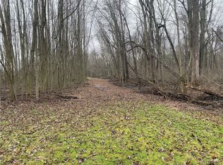 Chestnut Rd, Newfane, NY 14108