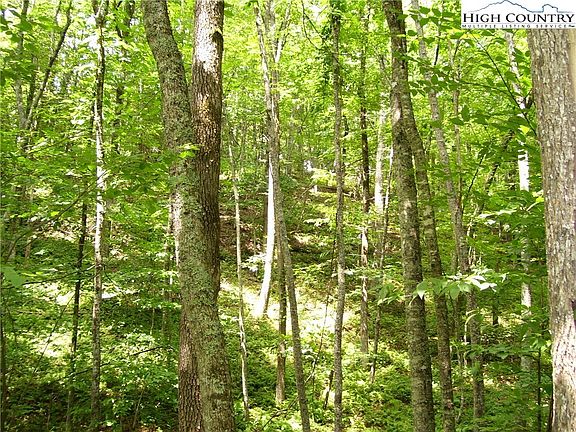 4th image of TBD Pine Knoll Dr
