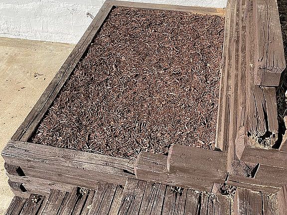 Built in flower/garden bed 