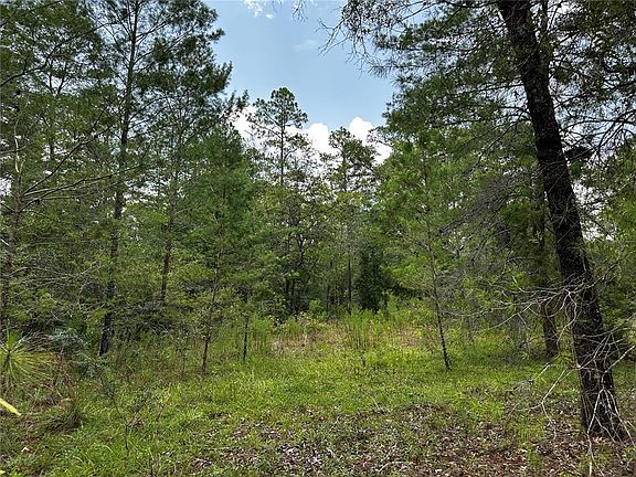 2nd image of 6270 NE 139TH AVENUE LOT 7