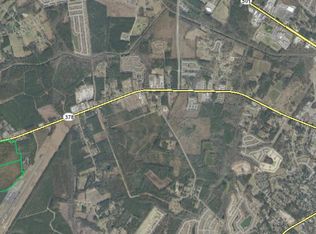 TBD Highway 378, Conway, SC 29526