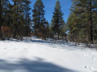 607 Oakridge Dr, Pagosa Springs, CO 81147