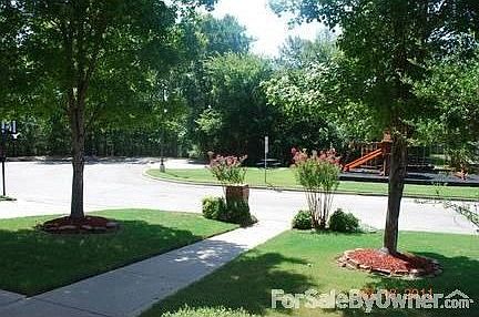 Cul-de-Sac : Wooded cul-de-sac across street