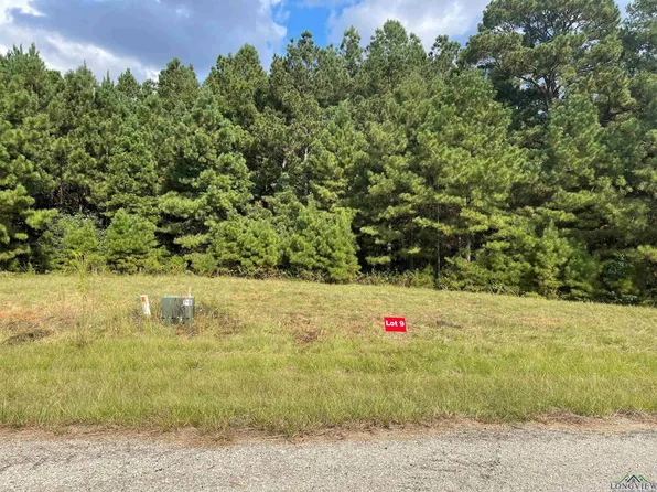 9 County Road 2204d & Dm #1797, Tatum, TX 75691