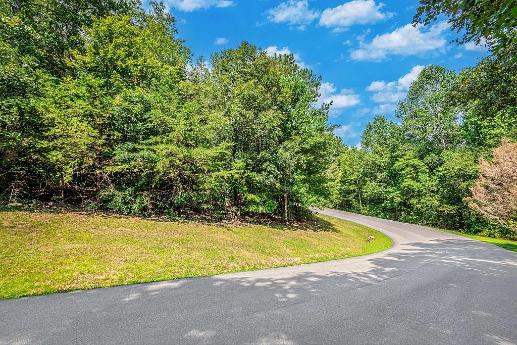 104 Mountain Creek Hollow Dr photo 1
