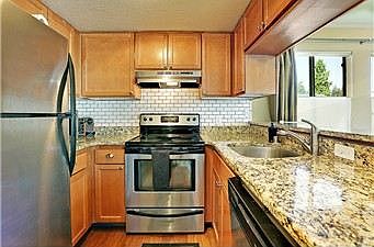 Espplande Codominium Kitchen 1
