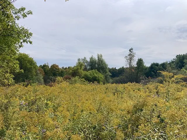 0 Link Rd #16 photo 1