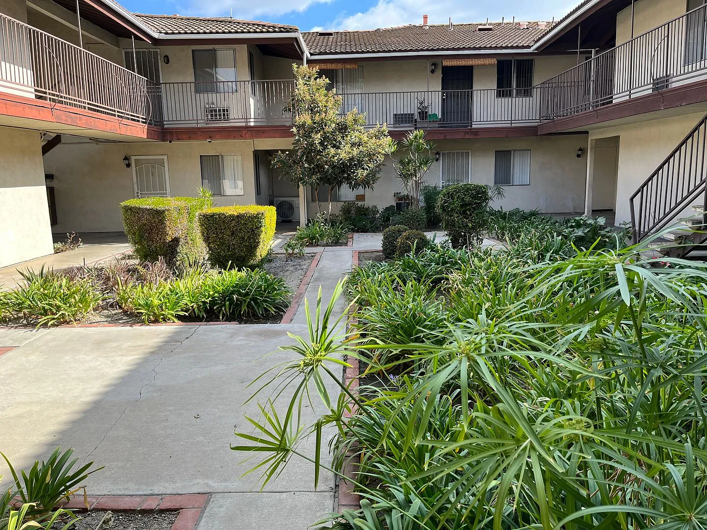 Sierra — Photo 3