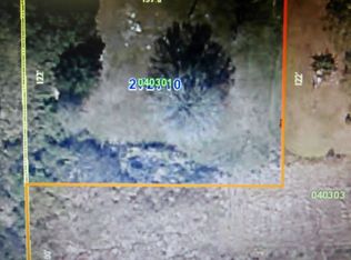 711 Gotts Rd, Davenport, FL 33837