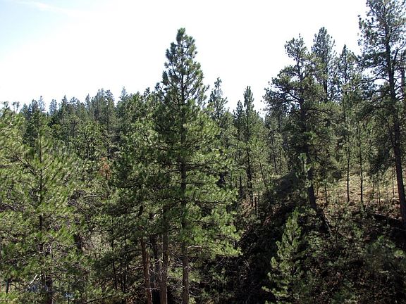 4th image of Rock Canyon Ln #Sc-28