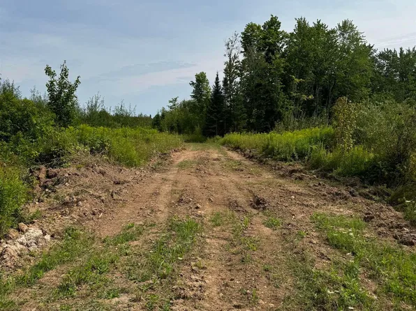 Off Street Nicholas 1 North 40 Cp, Rock, MI 49880