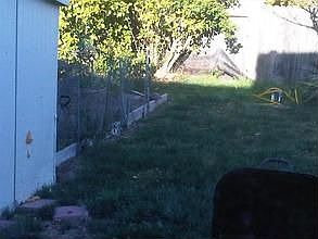 3rd image of 4039 Manhattan Cir
