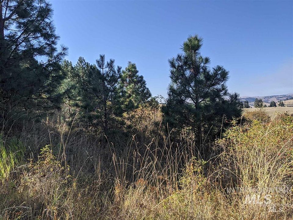 111 Quail Run, Stites, ID 83552 MLS 98873405 Zillow