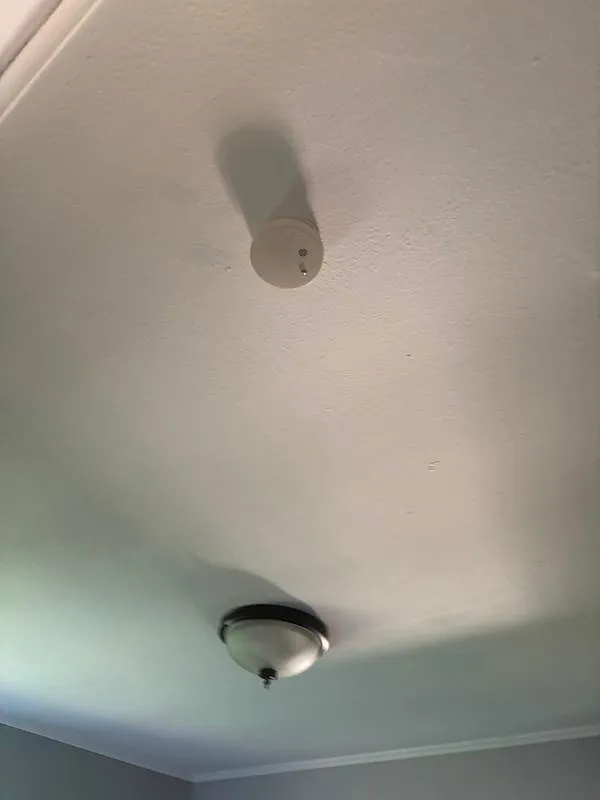 4 bed, 1.0 bath, 1400 sqft, $3,800 — Photo 4
