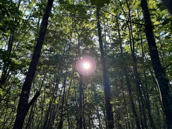 Buff Malloy Dr Lot 11, Beaver Island, MI 49782