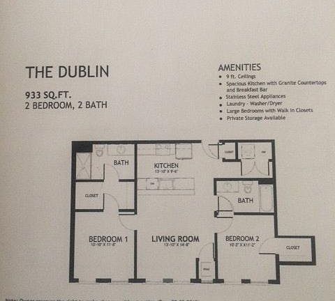 The Dublin