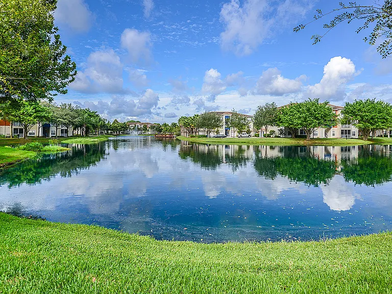 Water views
