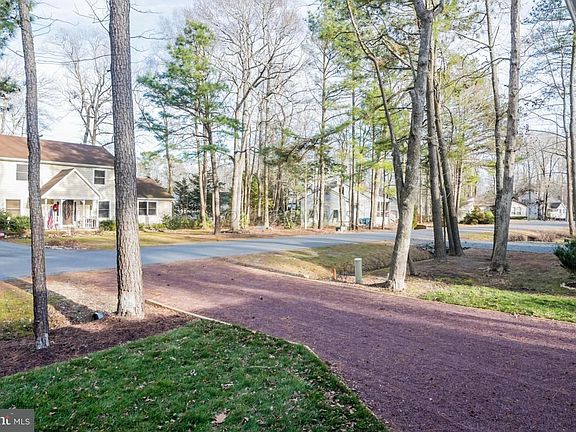 Driveway View
