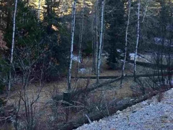 1090 Woodlands Way, Cloudcroft, NM 88317