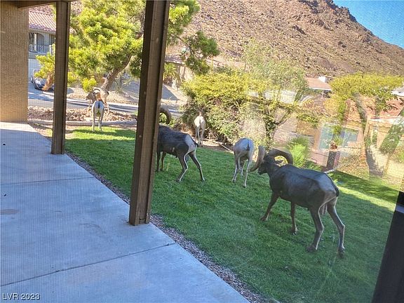 4th image of 549 Tara Ct